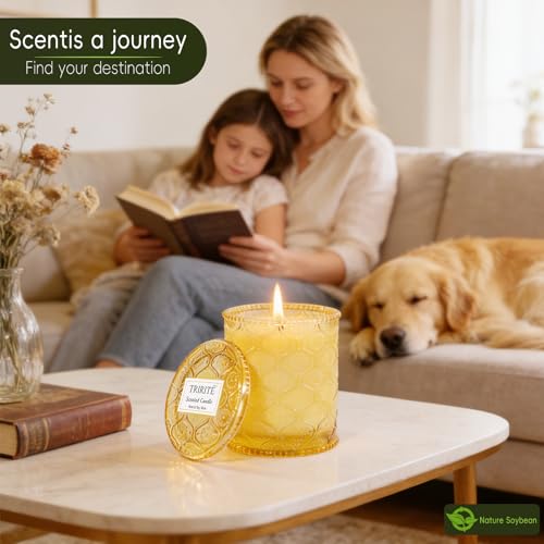Sandalwood Fig Amber Scented Candles for Mother's Day, Natural Soy Wax Jar Candle in Glass 45 Hours Clean Burn, Gift-Ready for Hosts & Gatherings Elegant Home Décor - Image 4