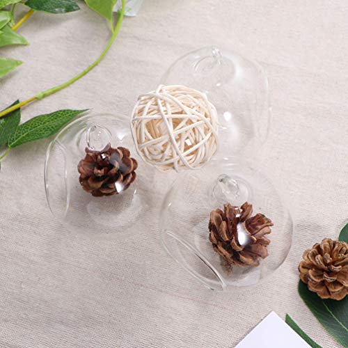 Plantas penduradas globos de terrário de vidro: 5 peças de vasos de vidro suportes de vela para vaso