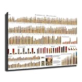 US Bullet Caliber Types Chart Poster Canvas Picture Printing Wall Art Decoration Poster Living Room Bedroom Home Background Decoration (Framed,24×32inch)
