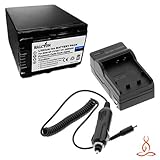 Halcyon 2500 mAH Lithium Ion Replacement Battery and Charger Kit for Sony DCR-SR68 80GB Hard Disk Drive Handycam Camcorder and Sony NP-FV100