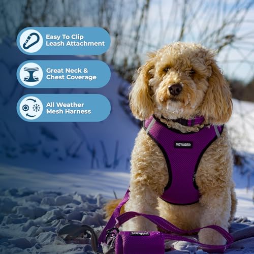 Image of Voyager Step-in Air All Weather Mesh Harness & Reflective Dog 5 ft Leash Combo, Neoprene Handle, for Small, Medium, Large Breed Puppies by Best Pet Supplies - Leash Harness (Purple /Black Trim), XS