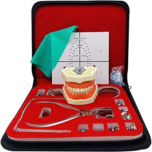 Dental Endodontic Rubber Dam Kit - Set completo di pratica con modello di denti per esami dentali e procedure