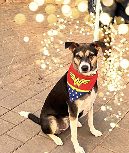 Image of That Dog In Tuxedo Tdit X�Dc Wonder Woman Reversible Dog Bandana With Adjustable Dog Collar (Size Small), Multicolor