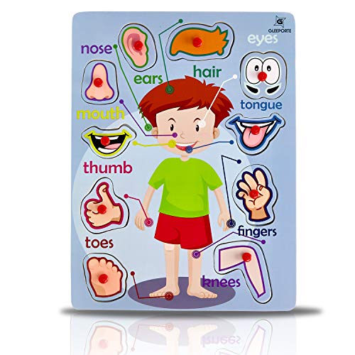 Wooden Peg Puzzle, My Body - Outside - Learning Educational Pegged Puzzle for Toddler & Kids (10 pcs) Gleeporte