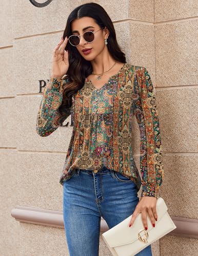 Zeagoo Long Sleeve Shirts for Women 2025 Casual Pleated V Neck Fall Tunic Tops Button Down Blouse Dressy Loose T-Shirts3