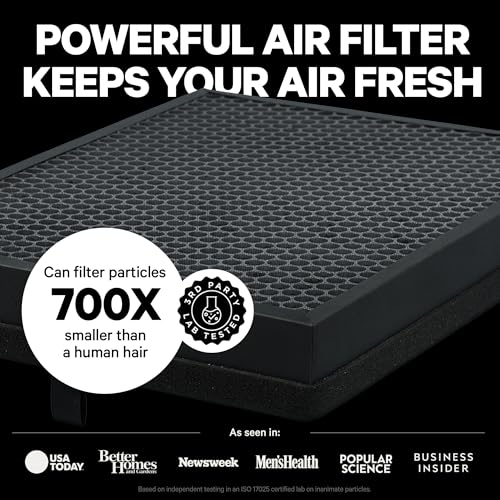 PuroAir 400 Replacement Filter - HEPA Filters up to 99.9% of Smoke, Pollen, Dust and Common Household Pollutants - HEPA Air Filter Replacement for PuroAir 400 Air Purifier (2 Pack)