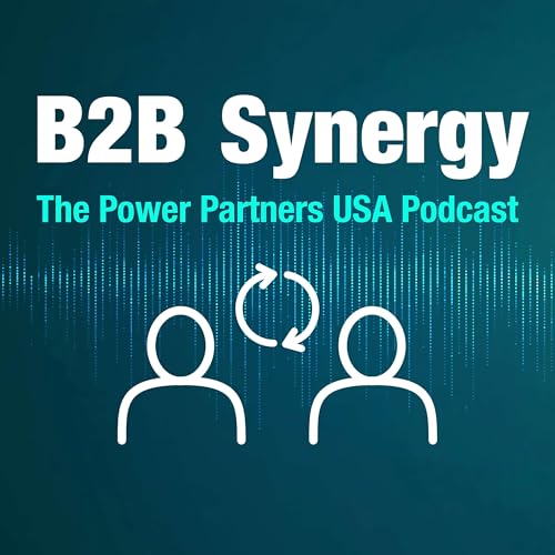 B2B Synergy - The Power Partners USA Podcast cover art