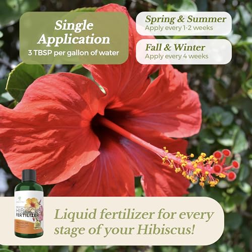 Fertilizante Líquido para Hibiscus 3-5-4 Concentrado 8 oz miniatura 3