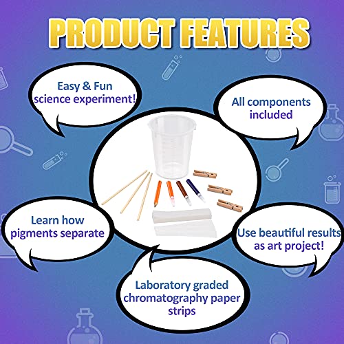 Lostronaut 2FTPK50XXXX Paper Chromatography Experiment Kit thumb #2
