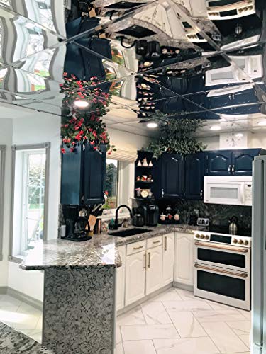2' X 2' Mirror Ceiling Tiles - Box Of 10 #TOP2