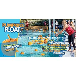 Weird but true halloween 300 spooky facts to scare you silly paperbackillustrated september 8 2020  urban country home decor