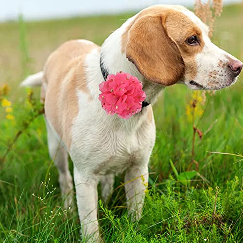 Floral Tree 12 Pcs Dog Collar Flowers Accessory Dog Collar Bow Tie Sliders, Multicolored Dog Collar Flower For Small Large Girls Dog , Personalized Flowers For Dog Collar #TOP5