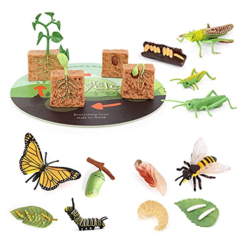 Image of Volnau Animal Figurines Toys 16PCS Life Cycle Set Plant Locust Butterfly Caterpillars Bee Animal Figures for Toddlers Kids Decorations Preschool Educational Prop