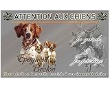 Pancarte attention au chien épagneul-breton - pré perforée et vis comprises. De 30 cm à 15 cm…