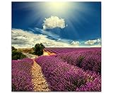 EXZELLENTER DRUCK: Genießen Sie mit unseren Wanddeko-Bildern eine herausragende Bildqualität. Unsere Leinwände beeindrucken durch ihre erstklassige Druckqualität und die lebendigen Farben, die bis zum Rand der Leinwand perfekt aufgetragen sind.