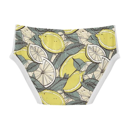 visesunny Boys Potty Training Underwear Vintage Lemon Leaf Breathe Cotton Briefs Size 2T-8Y for Toddler2