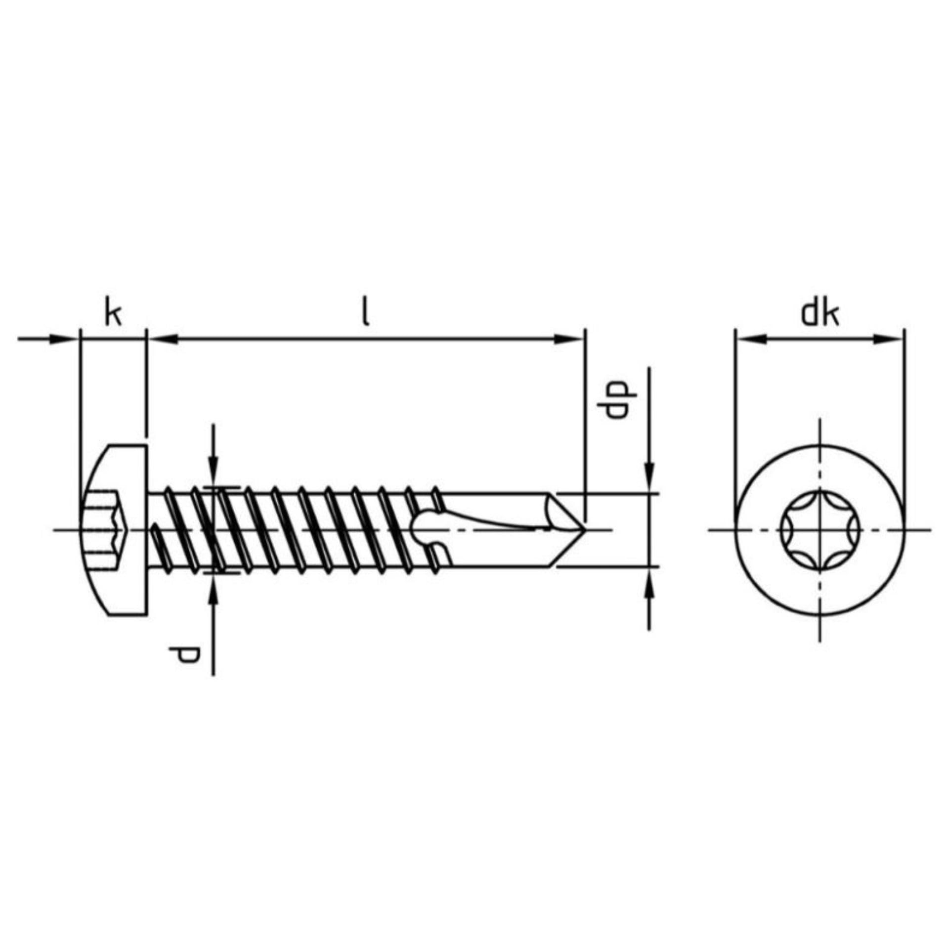 Lamiera – Viti 6,3 × 100 mm – Testa bombata – DIN 7504 Forma M – TX30 (esagono incassato) – Acciaio inox A2 – 200 pezzi