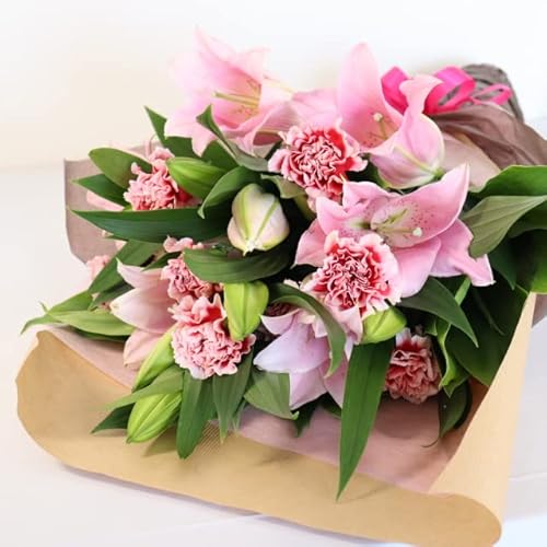 PURIZA ̓  sN t[ ԑ We[ 2025 SJ[l[V