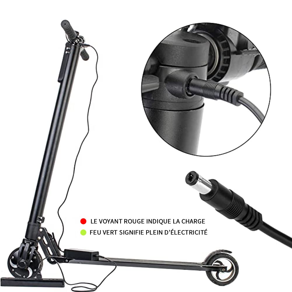 TAIFU Chargeur 36V pour Vélo Electrique Nakamura E-Summit 700, E-Summit SUV, E-City 100, VTC Electrique E-Fit, Telefunken Compact F820 Vélo Pliant, Feu Vert VTT Max+, Feu Vert VTC Axel, Wayscral W500