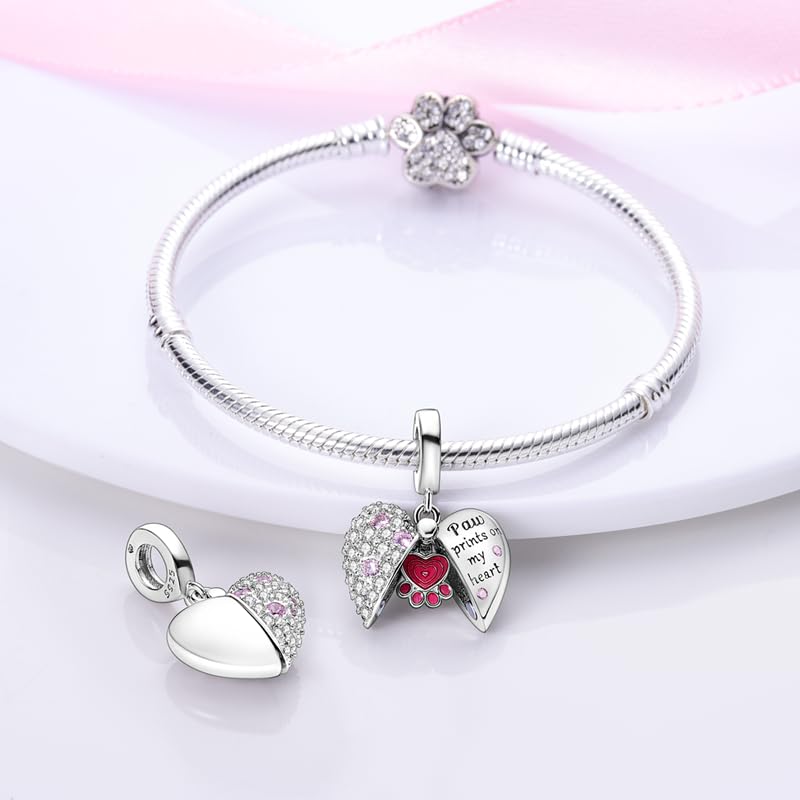 TINSLO Ciondolo Argento Sterling 925 con Cubic Zirconia Pendenti per Pandora Braccialetti, Compatibile con Braccialetti e Collane europei, perfetto Regali per Moglie e Ragazze B1