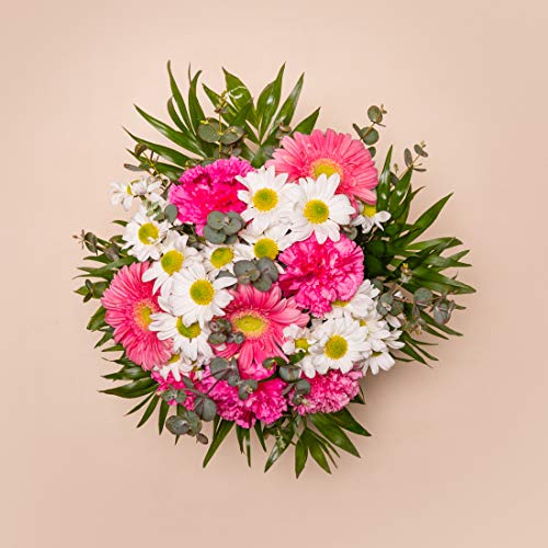 Ramos de flores naturales a domicilio variado Alifornia - Flores frescas - Envío a domicilio 24h GRATIS - Tarjeta dedicatoria incluída - Caja especial para ramos de flores naturales.…