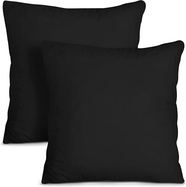 Utopia Bedding Throw Pillows Insert (Pack of 2, Black) - 18 x 18 Inches Bed and Couch Pillows - Indoor Decorative Pillows