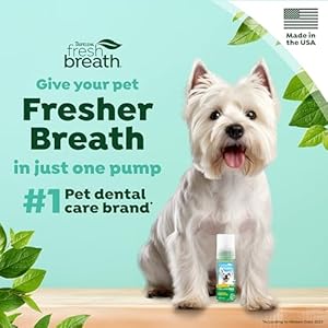 TropiClean Fresh Breath Foam for Dogs & Cats | Cat & Dog Dental Foam| Dog Breath Freshener Foam| Oral Care for Dogs & Cats | Made in The USA | 4.5 oz