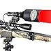 Wicked Lights W404iC Long Range Red Night Hunting Light Kit for Coyote, Fox, Bobcat, Hogs, and Predators W2077