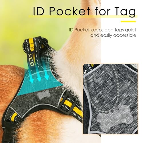 ThinkPet No-Pull Geschirr, Ausbruchsicheres Reflektierendes Step-in Hundegeschirr, Verstellbares Atmungsaktives Geschirr, mit hinterem/vorderem Clip für bessere Kontrolle