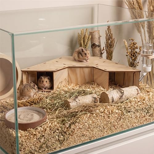 Hamstertunnel & Hamsterhaus aus Holz – DIY Watchbox zum Beobachten – Buddeltunnel & Versteckhaus für Zwerghamster & Rennmäuse – stabil, splitterfrei & einfach zu montieren