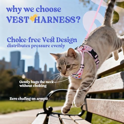 Image of rabbitgoo Cat Harness and Leash Set, Escape Proof Vest, Purrty Pink | Soft Breathable Mesh, Easy Adjustable Fit, Snap Buckles, Sturdy Clip, Reflective Strips, for Kittens & Small Cats Walks, Xxs