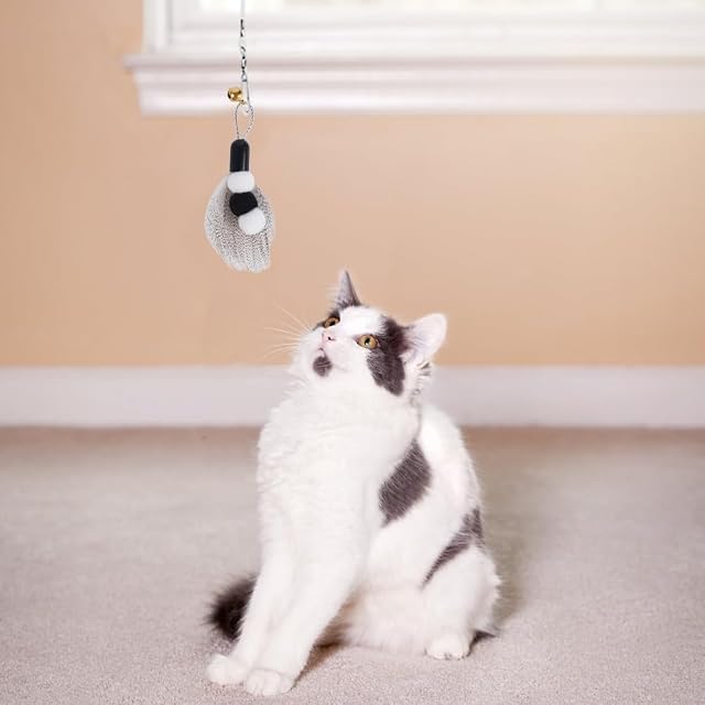 Foto 8 de 8 de DONGKER 7 piezas de juguetes para gatos