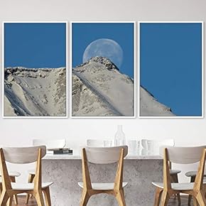 signwin 3 Piece Framed Canvas Wall Art Lunar...