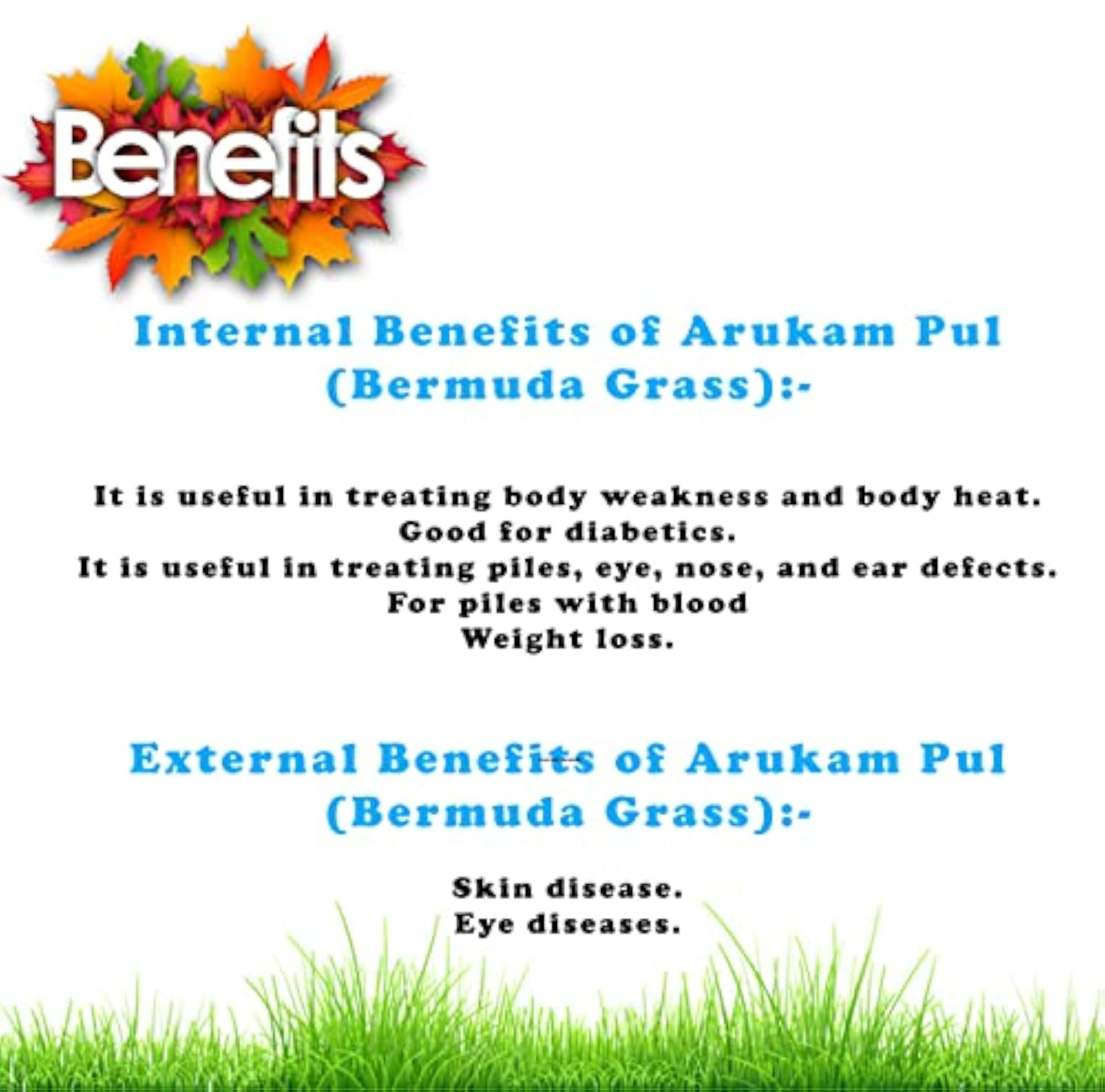 Arukam Pul Powder, Bermuda Grass Powder 100 Grams