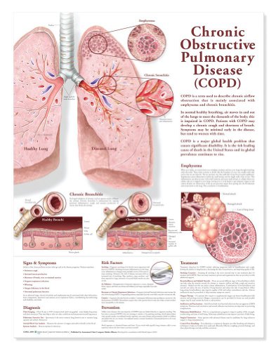 Chronic Obstructive Pulmonary Disease Anatomical Chart