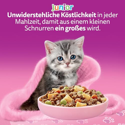 WHISKAS Junior Trockenfutter für Katzen 5 x 800g mit Huhn