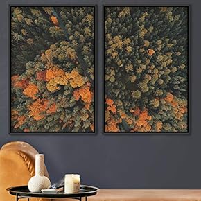 signwin 2 Piece Framed Canvas Wall Art Greenlands...