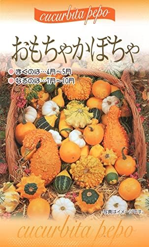 Amazon Co Jp 種子 おもちゃかぼちゃ 福花園種苗のタネ Diy 工具 ガーデン