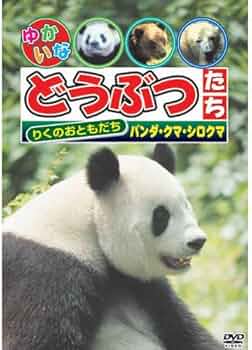 くまパンダ出品① 西武百貨店 - 新品☆おかいものクマ パンダくま ☆限定品の通販 by