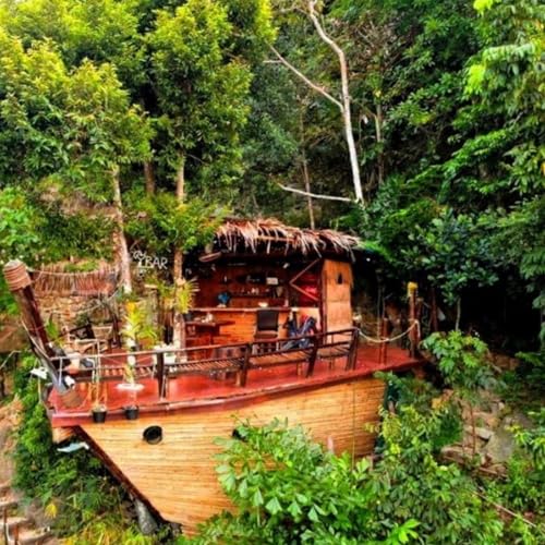 S4:E13 L'Arche de la Jungle