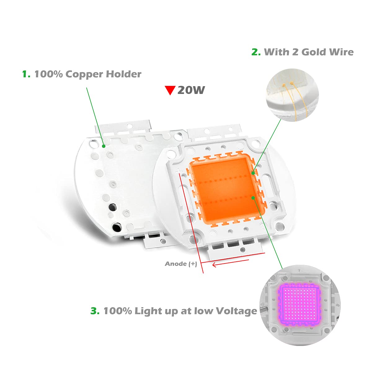 Amazon | Chanzon ハイパワー LED チップ 20W フルスペクトル 植物育成