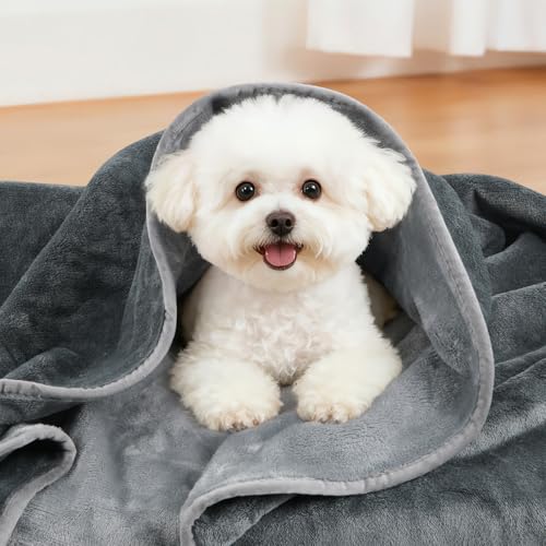 Image of LOOBANI Waterproof Dog Blanket for Bed: Spill-Proof Puppy Blankets for Small Medium Dogs Washable, Reversible Soft Flannel Pet Throw for Couch Sofa Cover, Crate, Travel, Picnic, 30 inch x 40 inch, Grey