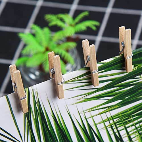150 Pcs Small Wooden Clothes Pegs Mini Tiny Decorative Photo Pegs 2.5/3/3.5 cm LaundryClips for Hanging Photos Pictures - Image 3