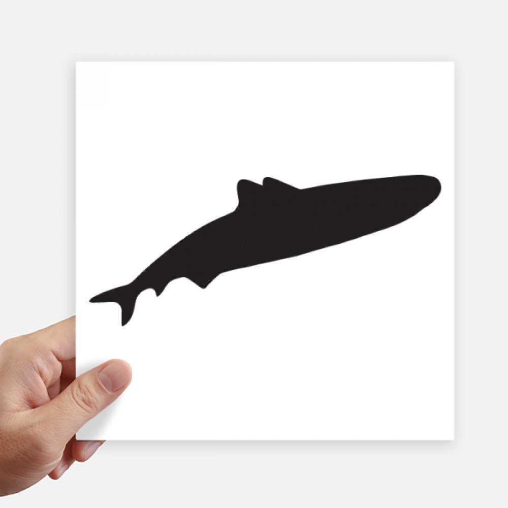 Autocollant requin féroce carré 20 cm stickers multicolores pour mur et valise 4 pièces
