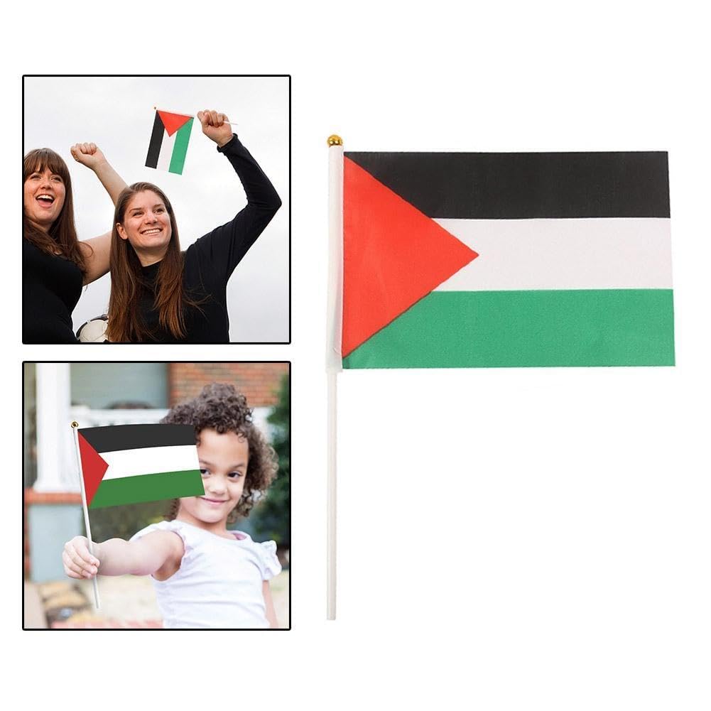 Palestina bandiera palestinese con palo I Stand mano sventolando