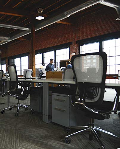 YUEMING 5 x Rotelle per Sedia da