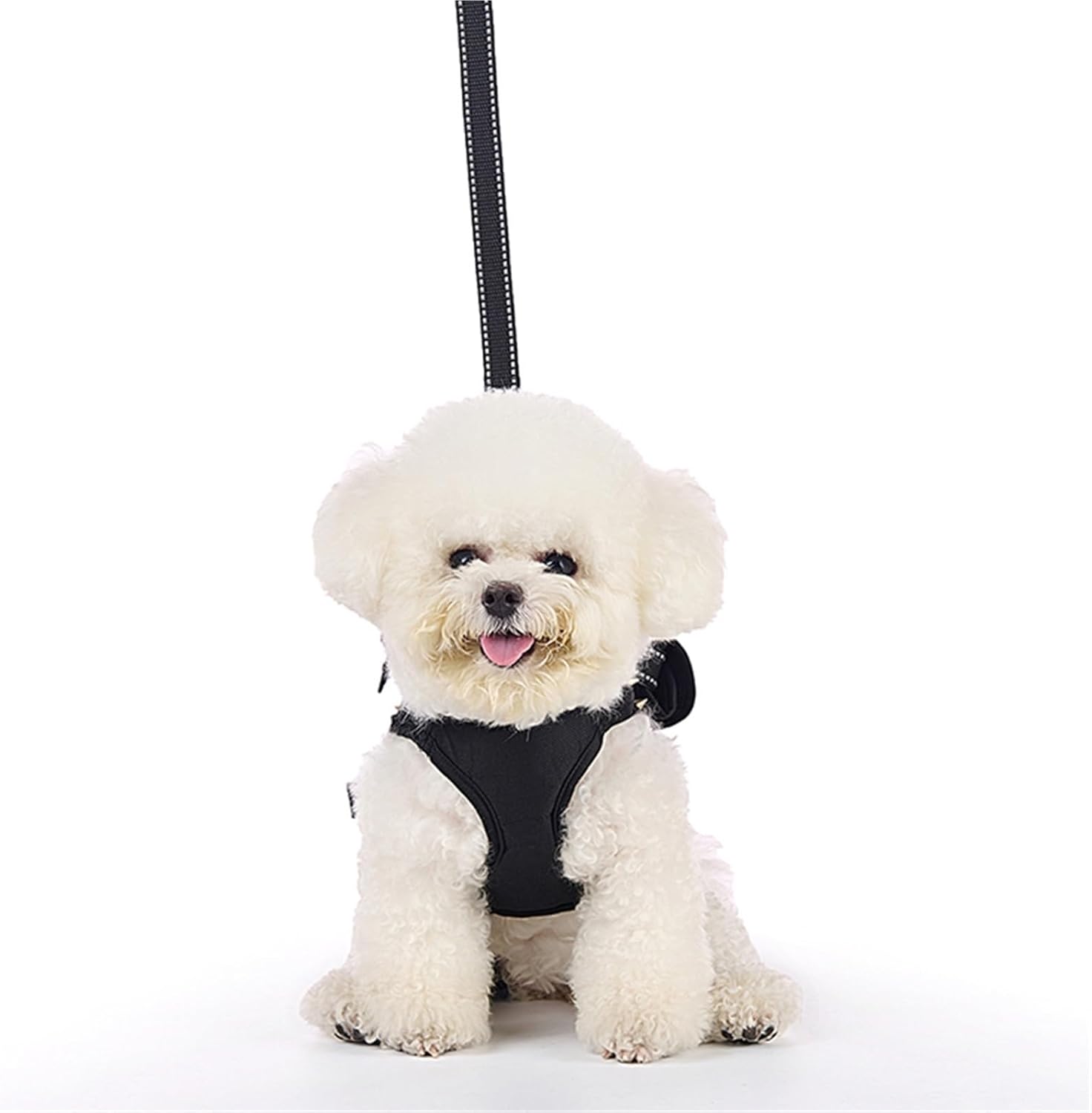 Small Dog Anti-Bite Backpack with Spiked Vest, Leash, Harness, or Portable Pet Carrier. Effectively Defends Against Coyote, Raptor, and Large Dog Attacks. (Black, S-3.31-7.72lb)