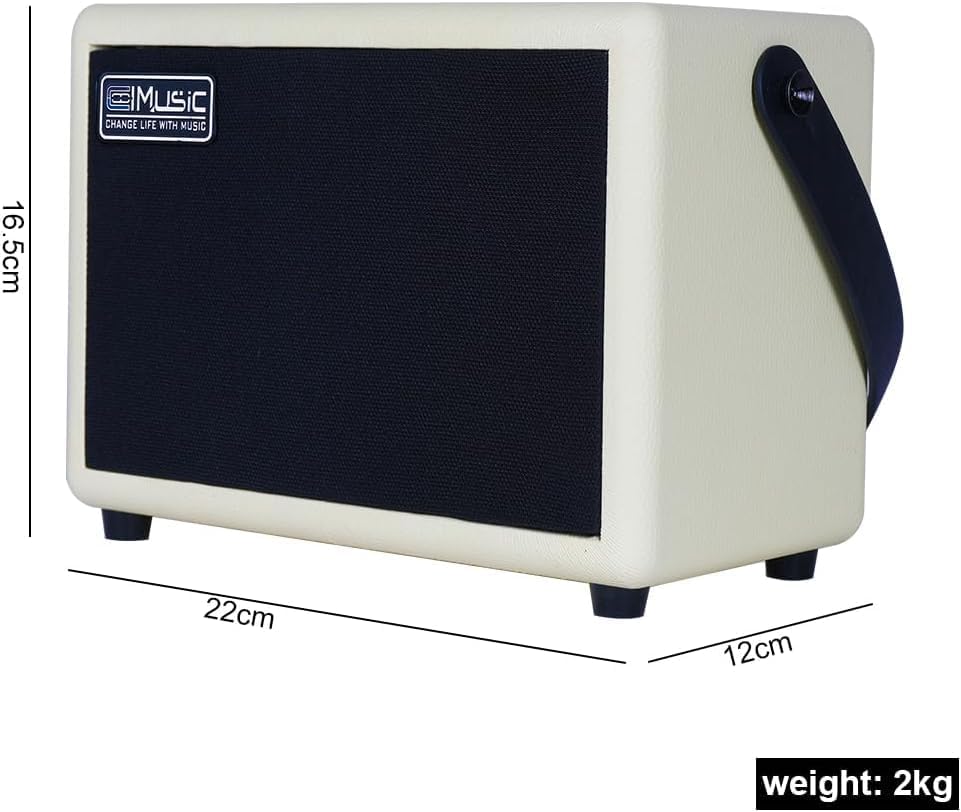 COOLMUSIC Unique 10G amplifier with dimensions labeled