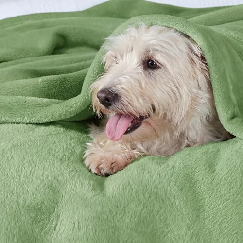 Image of Bedsure GentleSoft Green Throw Blanket for Couch - 300GSM Soft Cozy Fleece Blankets for Home Decor Gifts, Emerald, 50x60 Inches