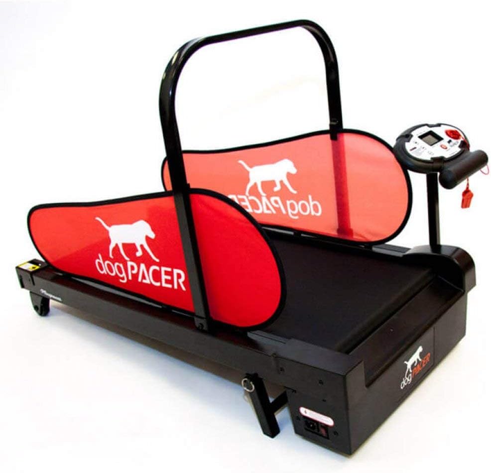 dogpacer treadmill